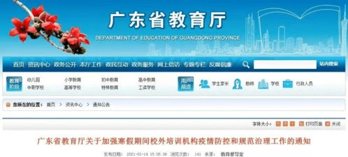 廣東重拳出擊 教育廳嚴打校外培訓機構與民辦學?！懊芸肌眮y象