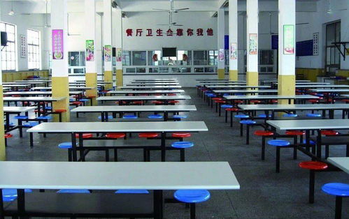 增城公辦中小學食堂中餐服務(wù)現(xiàn)狀與展望